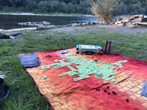 Carcassonne mit Wald im Wald