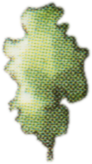 Baum-15.png