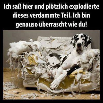ex-Sofa.jpg